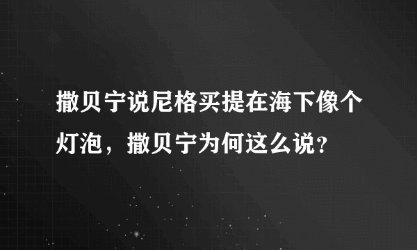 撒贝宁说尼格买提在海下像个灯泡，撒贝宁为何这么说？