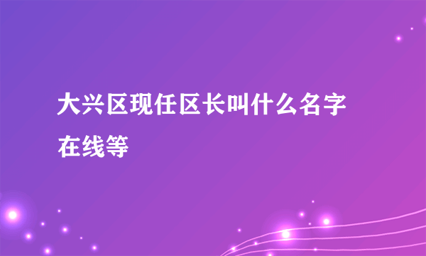 大兴区现任区长叫什么名字   在线等