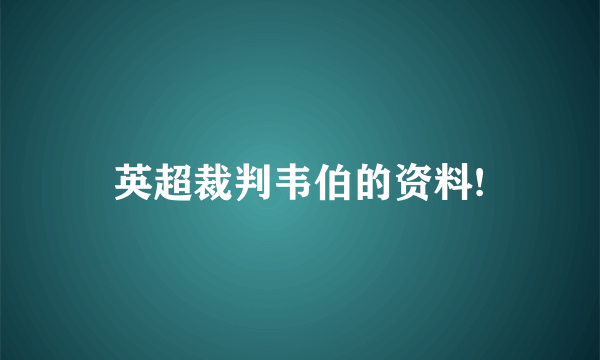 英超裁判韦伯的资料!