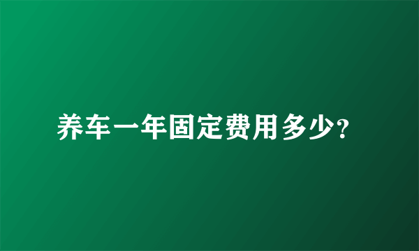 养车一年固定费用多少？