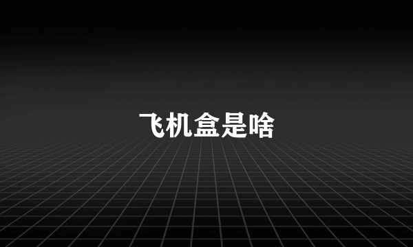 飞机盒是啥
