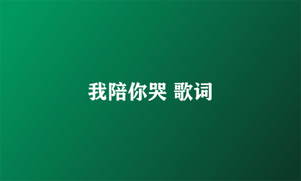我陪你哭 歌词