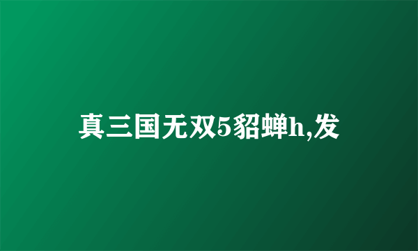真三国无双5貂蝉h,发