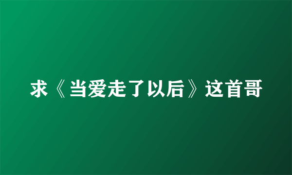 求《当爱走了以后》这首哥