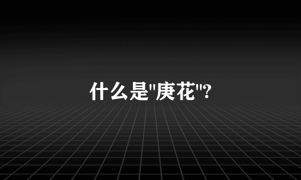 什么是