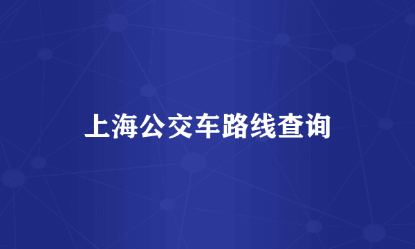 上海公交车路线查询