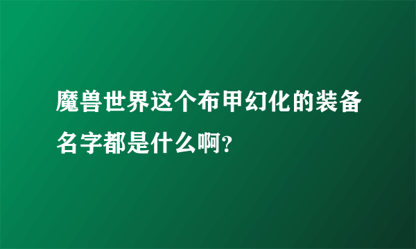 魔兽世界这个布甲幻化的装备名字都是什么啊？
