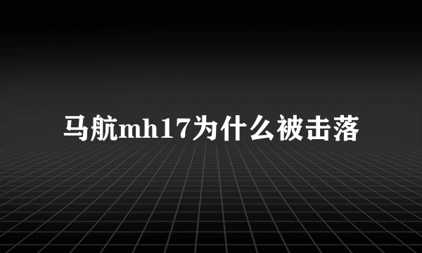 马航mh17为什么被击落