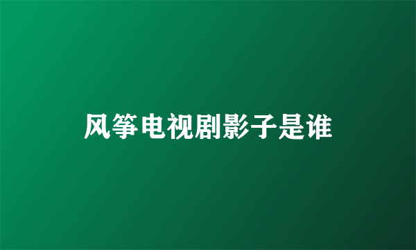风筝电视剧影子是谁