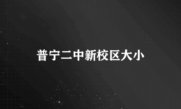 普宁二中新校区大小