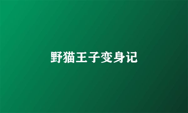 野猫王子变身记