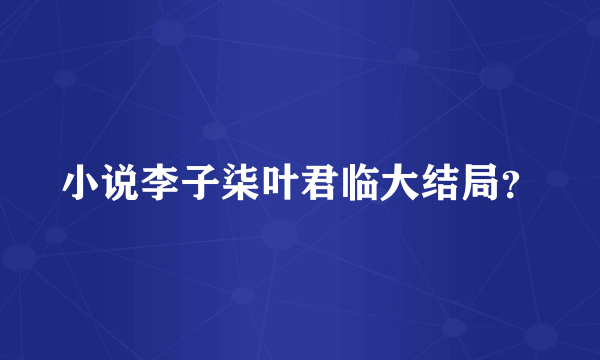 小说李子柒叶君临大结局？