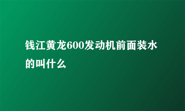 钱江黄龙600发动机前面装水的叫什么