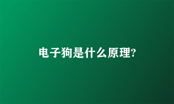 电子狗是什么原理?