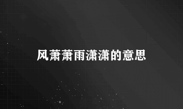 风萧萧雨潇潇的意思