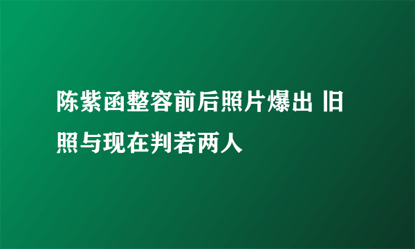 陈紫函整容前后照片爆出 旧照与现在判若两人