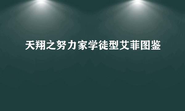 天翔之努力家学徒型艾菲图鉴