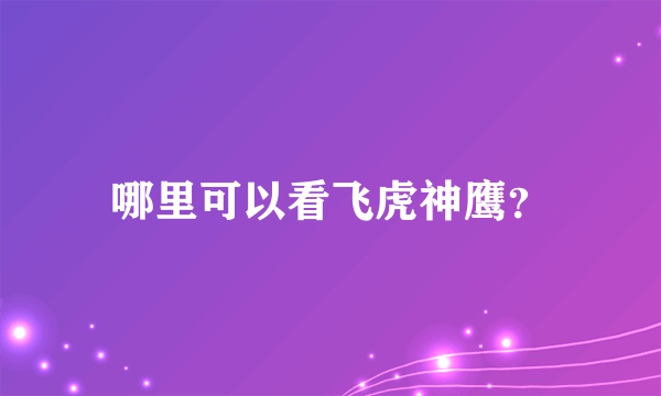 哪里可以看飞虎神鹰？
