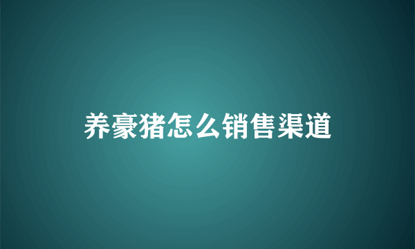 养豪猪怎么销售渠道