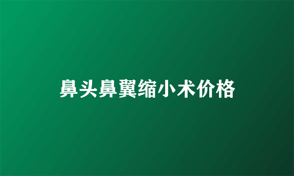 鼻头鼻翼缩小术价格