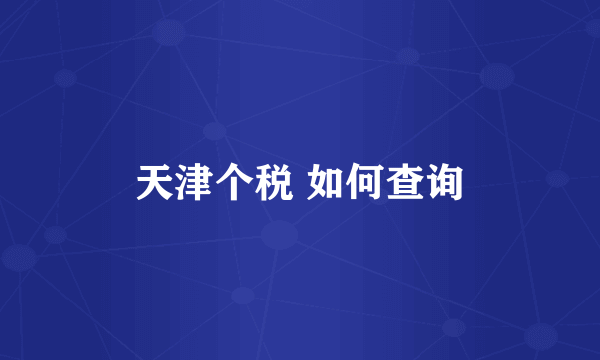 天津个税 如何查询