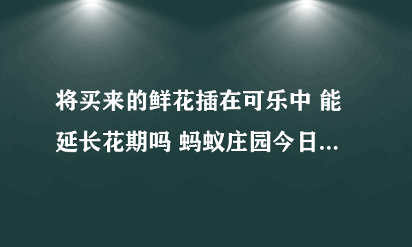 将买来的鲜花插在可乐中 能延长花期吗 蚂蚁庄园今日答案7月11日