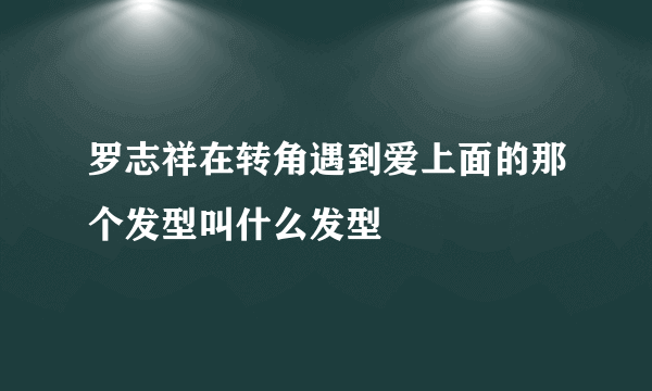 罗志祥在转角遇到爱上面的那个发型叫什么发型