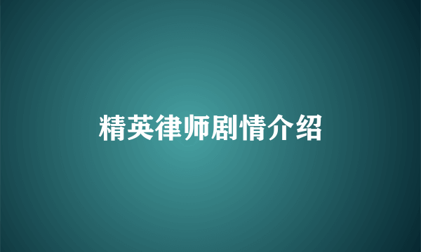 精英律师剧情介绍