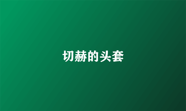 切赫的头套