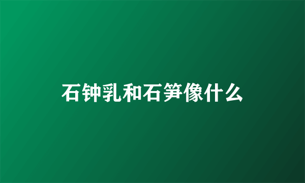 石钟乳和石笋像什么