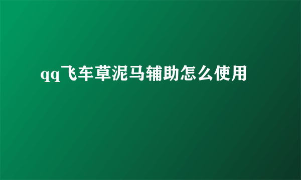 qq飞车草泥马辅助怎么使用