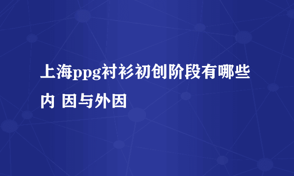 上海ppg衬衫初创阶段有哪些内 因与外因