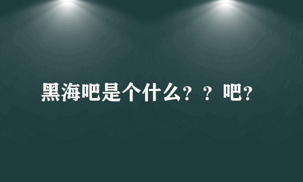 黑海吧是个什么？？吧？