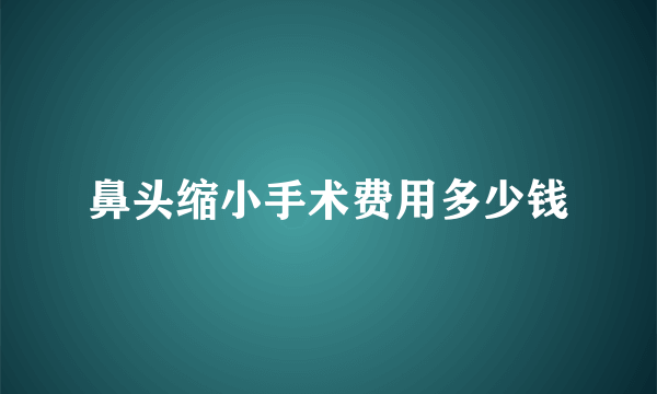鼻头缩小手术费用多少钱