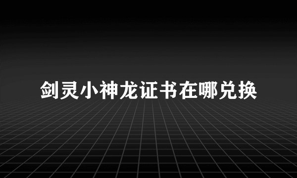 剑灵小神龙证书在哪兑换