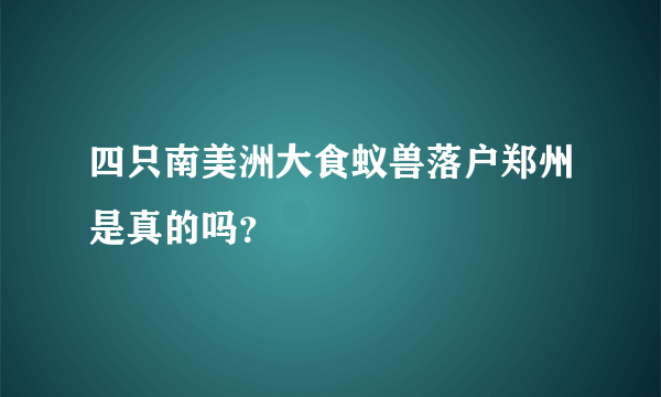 四只南美洲大食蚁兽落户郑州是真的吗？