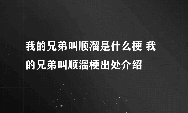 我的兄弟叫顺溜是什么梗 我的兄弟叫顺溜梗出处介绍