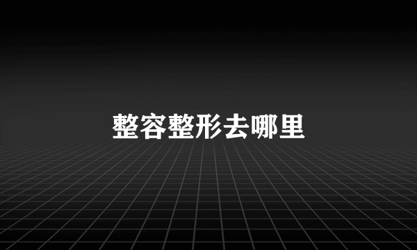 整容整形去哪里