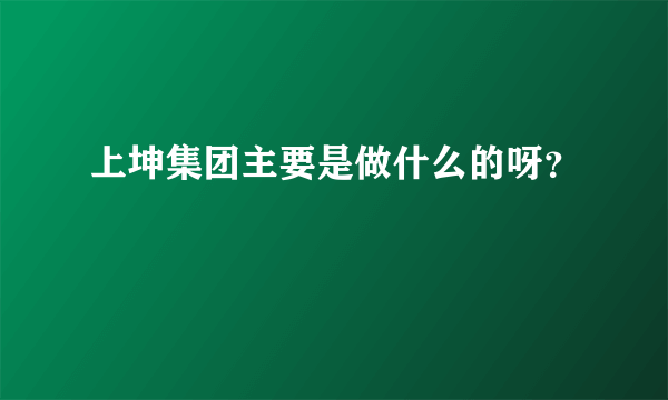 上坤集团主要是做什么的呀？