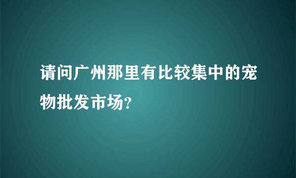 请问广州那里有比较集中的宠物批发市场？