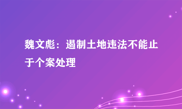 魏文彪：遏制土地违法不能止于个案处理