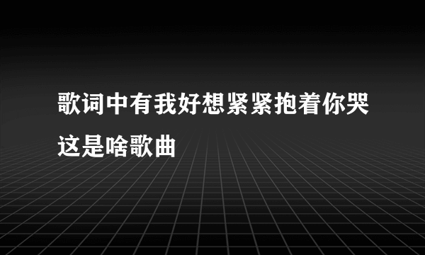 歌词中有我好想紧紧抱着你哭这是啥歌曲