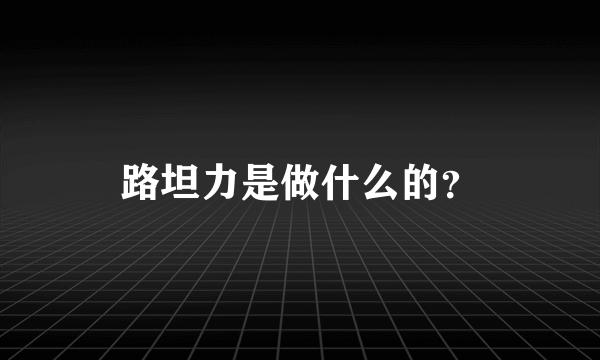 路坦力是做什么的？