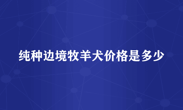 纯种边境牧羊犬价格是多少