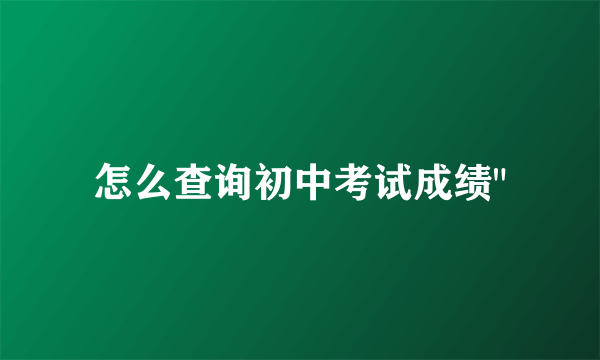 怎么查询初中考试成绩