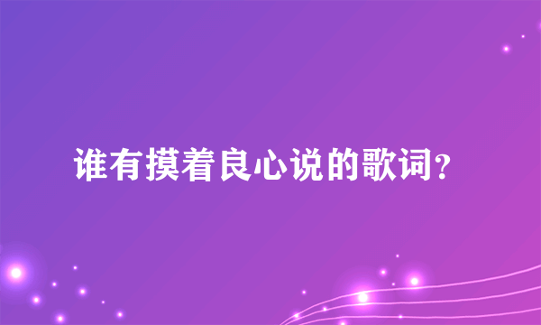 谁有摸着良心说的歌词？