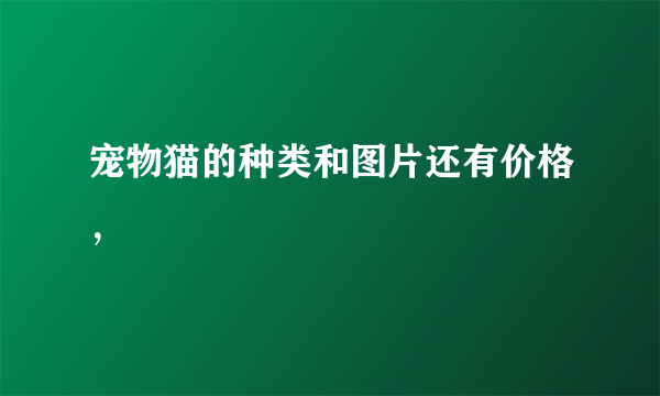 宠物猫的种类和图片还有价格，