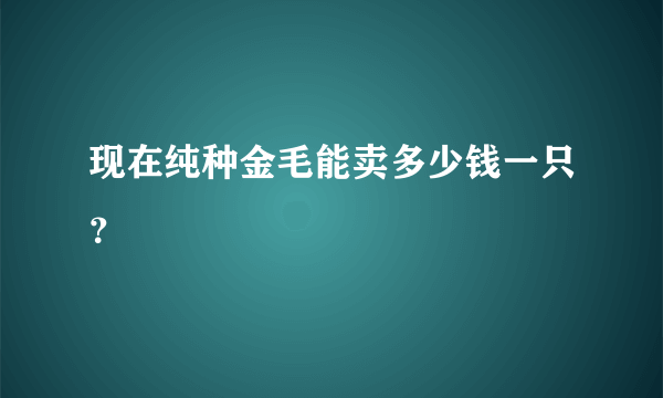 现在纯种金毛能卖多少钱一只？