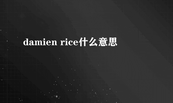 damien rice什么意思