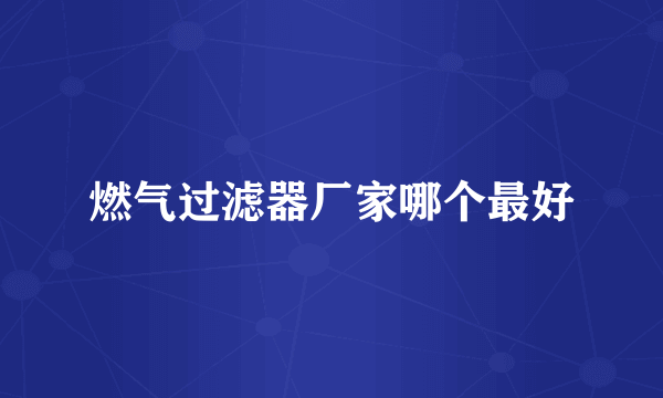 燃气过滤器厂家哪个最好